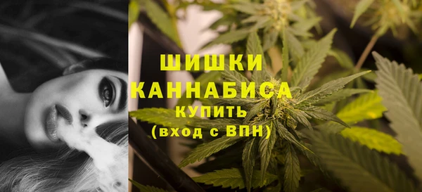 ешки Дмитриев