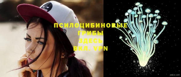 Альфа ПВП Дмитровск