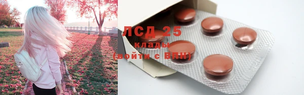 Альфа ПВП Дмитровск