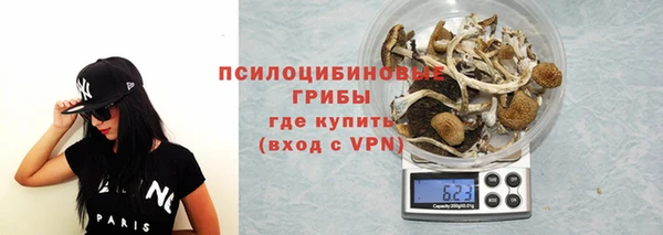 ешки Дмитриев