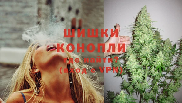 ешки Дмитриев