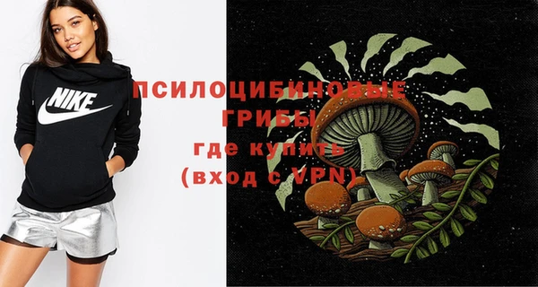 Альфа ПВП Дмитровск