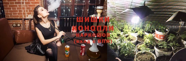 Альфа ПВП Дмитровск